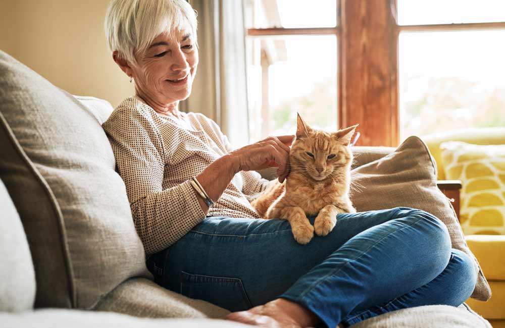 Elderly woman happily petting her orange cat while sitting on a comfortable sofa in sunlight.